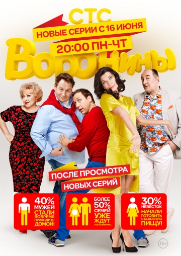 Воронины 20 сезон (2017)